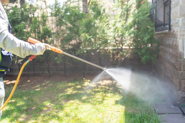 Best Lawn Pest Control  in Kaibito, AZ